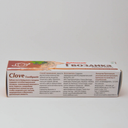 Зубная паста Гвоздика | Toothpaste Clove (Baidyanath) 100 гр