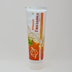 Зубная паста Гвоздика | Toothpaste Clove (Baidyanath) 100 гр