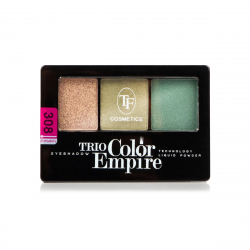 Трехцветные компактные тени для век TRIO EMPIRE COLOR EYESHADOW CTE22