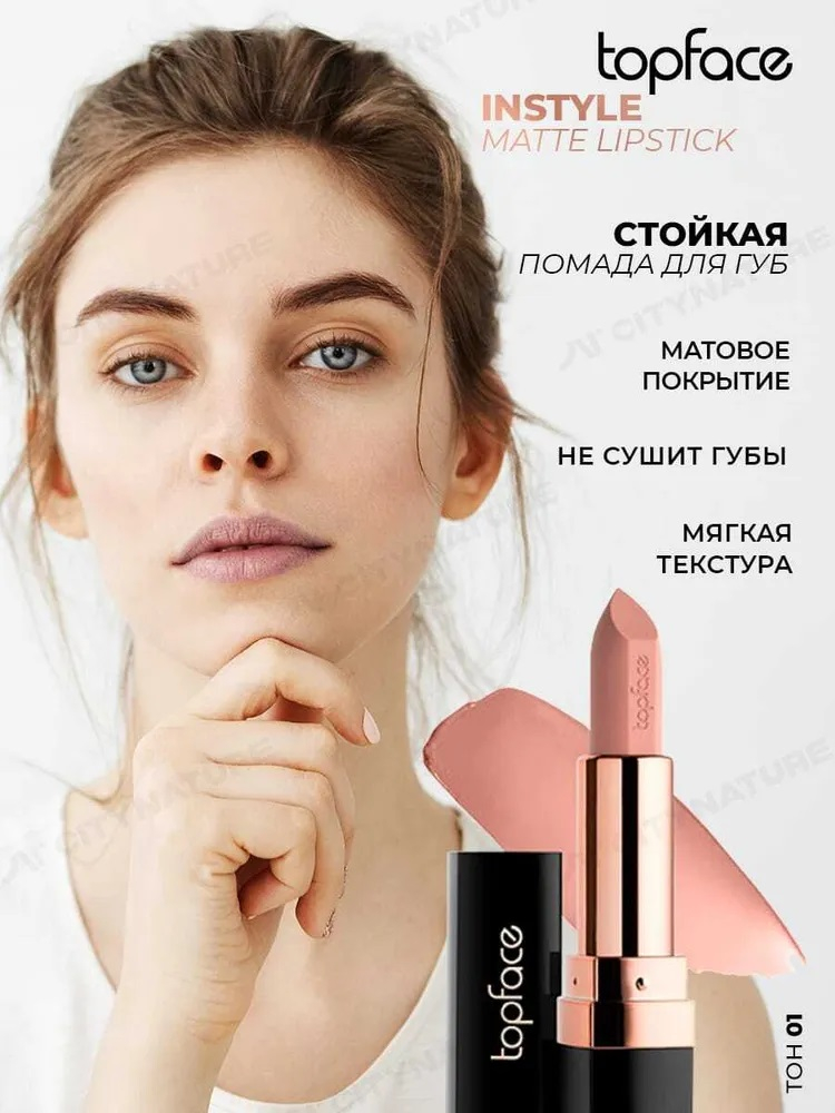 Помада для губ матовая устойчивая Instyle Matte Lipstick Topface PT155